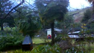 From Internet Camera(DCS-2121[03:1B:93])2014/02/08,14:02:39