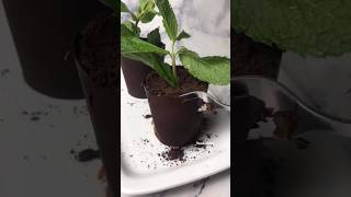 Chocolate Plant Pot Dessert - 3 ingredients Recipe shorts