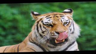 Top 10 Things To Do & Places To Go In Miskolc Hungary