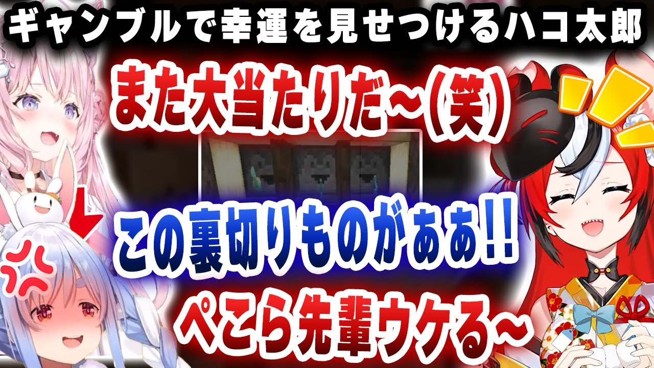 【ねこねこあいらんど】ギャンブルを外した借金まみれの人間たちの前で大当たりを引きまくり、キレられるハコ太郎ｗｗｗ【切り抜き/ホロライブ/ハコス・ベールズ/兎田ぺこら/博衣こより】