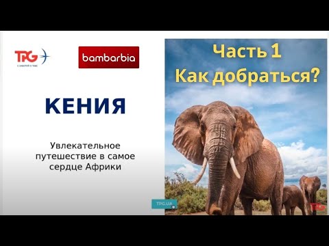 КЕНИЯ - доступная экзотика 2021. Часть 1: полетная программа и правила въезда в страну