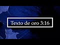 PODCAST | Texto de oro | 08 | Jóvenes en Cristo