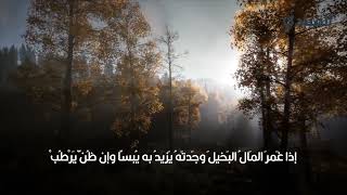 أبيات شعر عن البخل