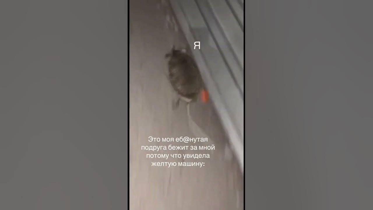 йожик - YouTube