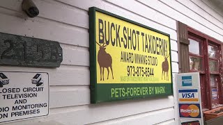 336 bears killed in hunt that Murphy vows will be the last
