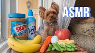 ASMR Dog Reviewing Different Types of Food