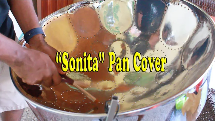 Multisymptom - Sonita (Steelpan Cover)