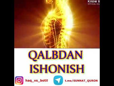 Video: Baliqni Qanday His Qilish Va 