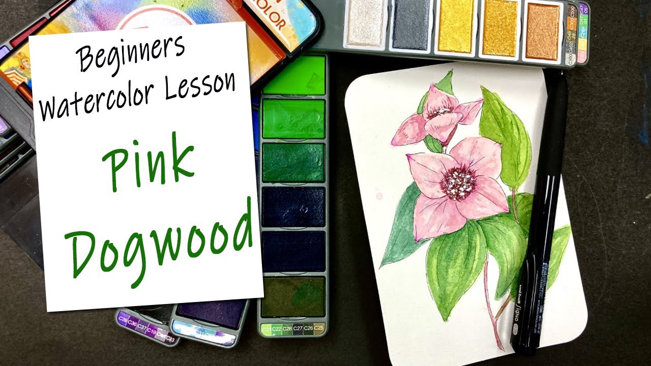 How to Paint a Watercolor Dogwood Flower Beginners Ink and Wash YouTube