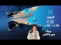 برج الحوت من ٢٠ الى ٢٦ كانون الأول ٢٠٢٥ 