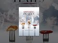 Spinning Plates