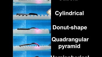 The Dynamic Mortise-and-Tenon Interlock Assists Hydrated Soft Robots Movie 3