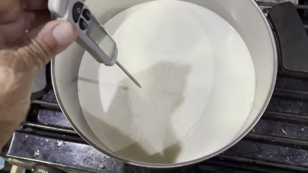 L. Reuteri L Bacillus Coagulans Lactobacillus Gasseri/yogurt not yogurt