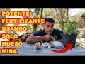 FERTILIZANTE PODEROSO (fósforo, calcio y magnesio) HARINA DE HUESOS, hazla tu mismo ¡¡ FÁCIL !!✅