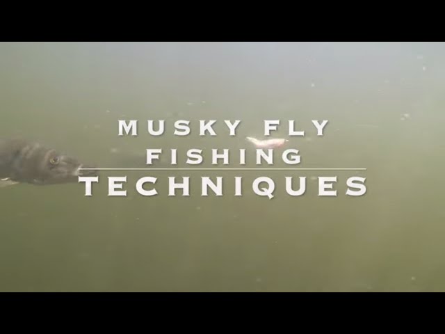 Musky Fly Fishing Techniques 