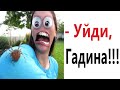 Приколы! ПАУКИ 99 УРОВЕНЬ! Доми шоу (Анимация)