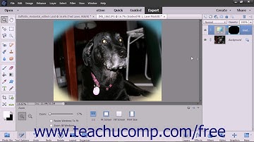 Photoshop Elements 2018 Tutorial Linking Layers Adobe Training