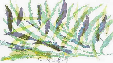 Jharna-Kala - Artwork by Sri Chinmoy