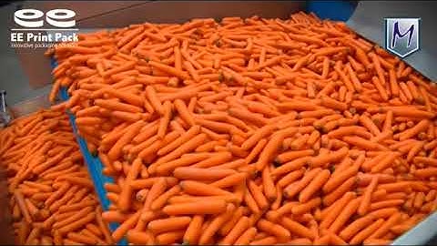 Manter M10 Baetsen Carrot