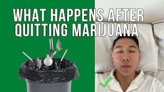 What REALLY Happens After Quitting Marijuana