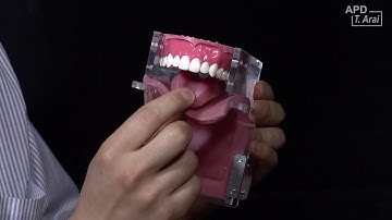 Vocal-tract Model with Flexible Tongue (English Version)