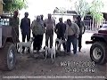 CAZA DE JABALI CON PERROS SABUESOS