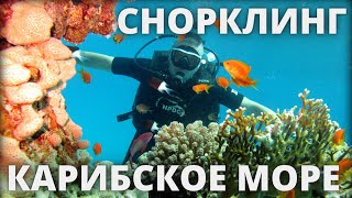 Карибское море Доминикана дайвинг снорклинг экскурсия Каталина Карибы отдых путешествие каталония