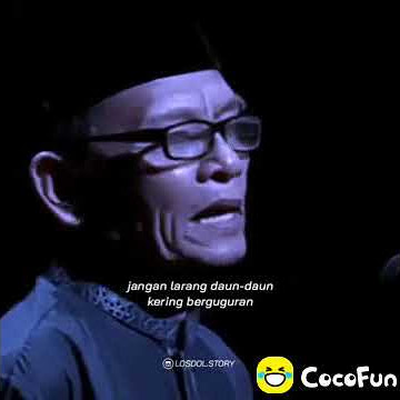 COCOFUN PANTUN LUCU DAN KEREN STORY WA DAN IG