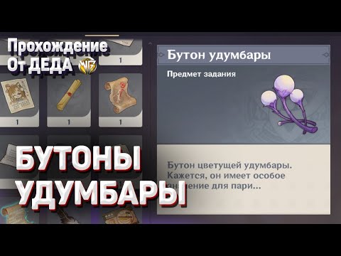 БУТОН УДУМБАРЫ ГДЕ НАЙТИ КАК ПОЛУЧИТЬ Геншин импакт