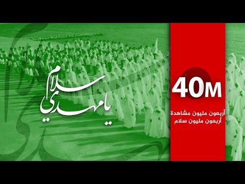 فيديو: يوم في حياة مدرب الكلاب للنجوم