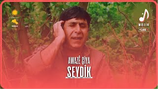 Seydik | Awazê Çiya [Live] Resimi