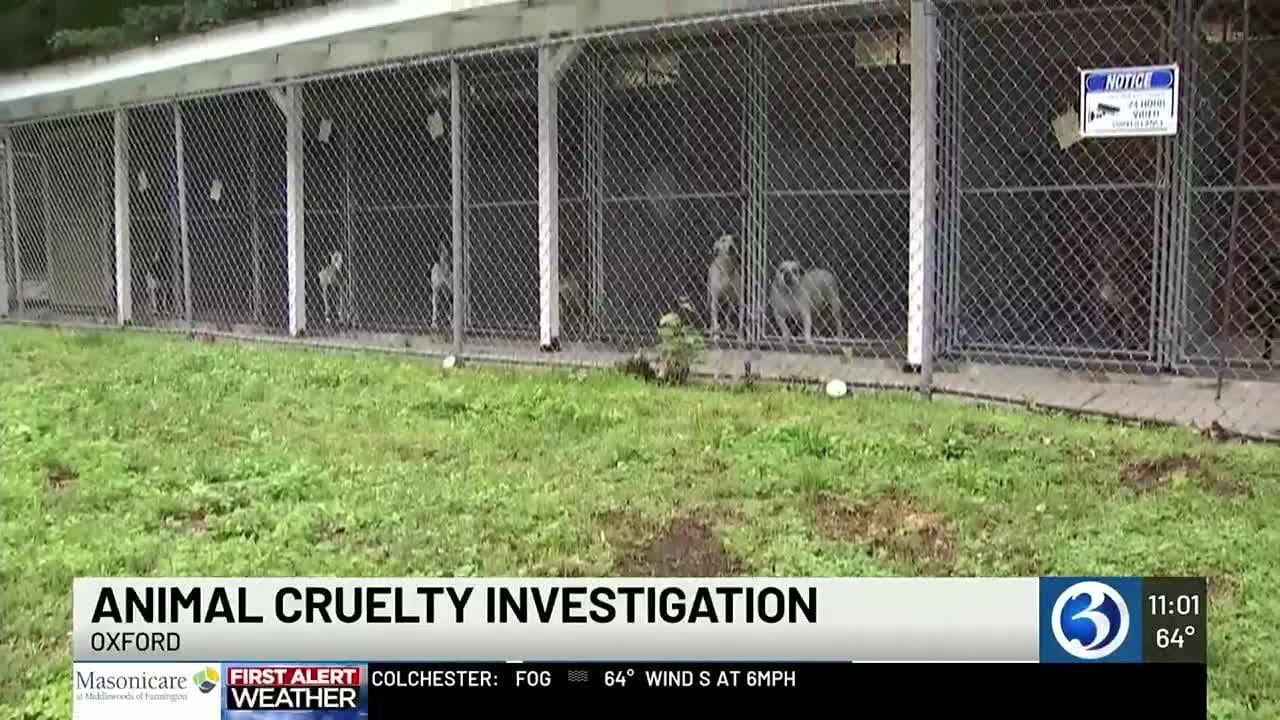 Animal cruelty investigation underway in Oxford - YouTube