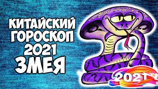 Змея🐍 Китайский Гороскоп на 2021 год Быка