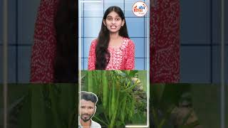 राजमा की खेती से मिली आर्थिक सफलता, किसान रंगवाल का कमाल