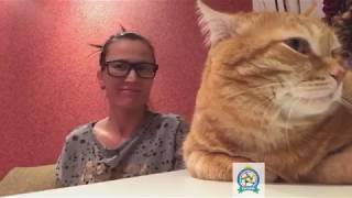 Тюменские глухие второй раз посетили приют "Лучший друг" - 28.10.2017 Тюменские глухие второй раз посетили приют "Лучший друг" - 28.10.2017
