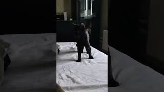 Мигель сходит с ума)