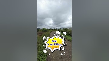 Đất gần bên QL1A Hàm Thuận Bắc, ven Phan Thiết rất thích hợp làm nhà vườn hoặc đầu tư #shorts