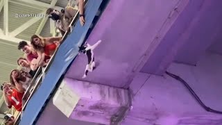 Video: Falling cat gets saved by fans at Miami football game I ABC7 screenshot 5