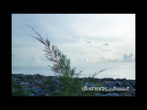 เสียดายของ - BASHER (Instrumentals By Mr.T)