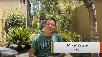 Key Differences Between B2B & B2C Websites