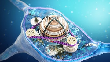 Disease Modelling and Drug Screening