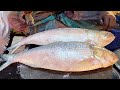 Big Hilsa/Ilish Fish Cutting Skills Live In Fish Market | Amazing Fish Cutting Skills