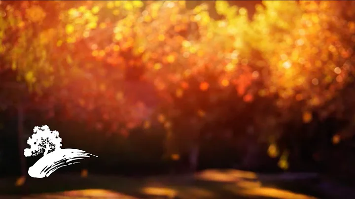 Autumn Dreams - Green Hill Music [Fall Visualizer]