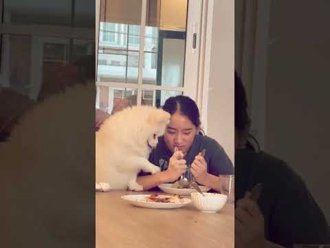 โตโร่น่ามากชอบสะกิด555 #สาวมายด์ #สาวมุ่ย🐶🐶🐶🐶🐶 #ยิ่งยงยอดบัวงาม #ทิพย์