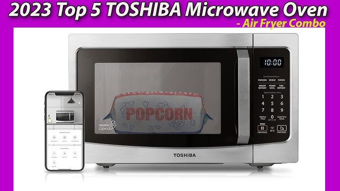 Grilling With The TOSHIBA Air Fryer Microwave 