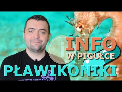 Wideo: Jak Hodować Koniki Morskie