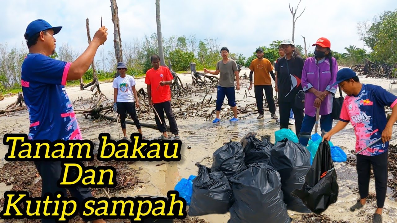 Program Membersih Pantai Dan  Tanam Bakau Di Pantai Kelanang #gengdunia