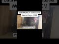 BATA MZINGA WANAUZWA Wapo Pugu DSM Ajefarms Viralvideo Animals Youtubeshorts BATA MZINGA WANAUZWA Wapo Pugu DSM Ajefarms Viralvideo Animals Youtubeshorts