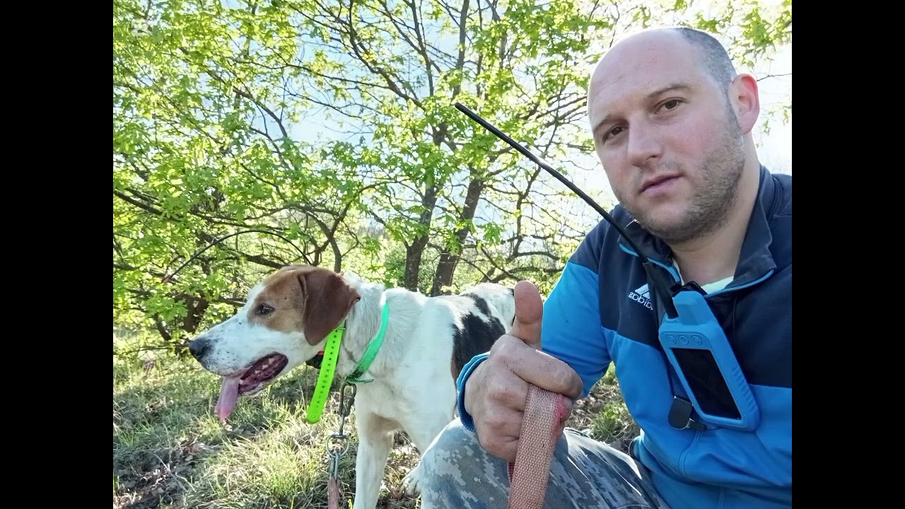 OBUKA NA SVINJU RUS I KOPOVKA!🐗🐕