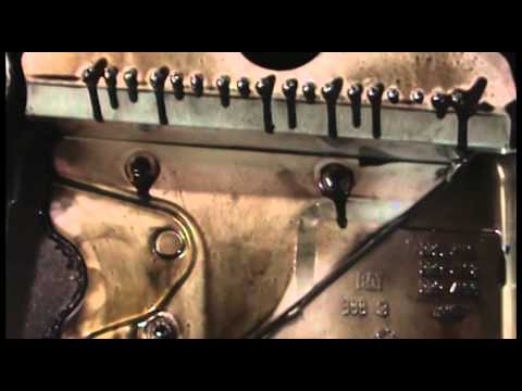 Schaeffer Mfg. Million Mile Diesel Engine Teardown - YouTube